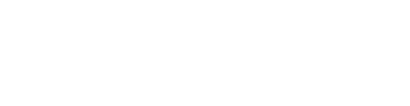 Connected Libraries Logo